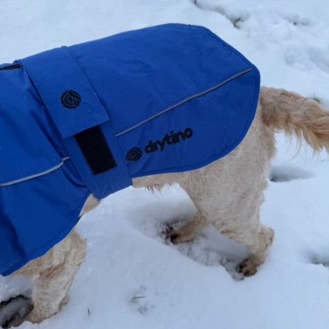 drytino Blue Dog Robe