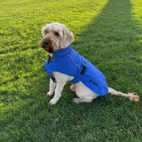 drytino Blue Dog Robe