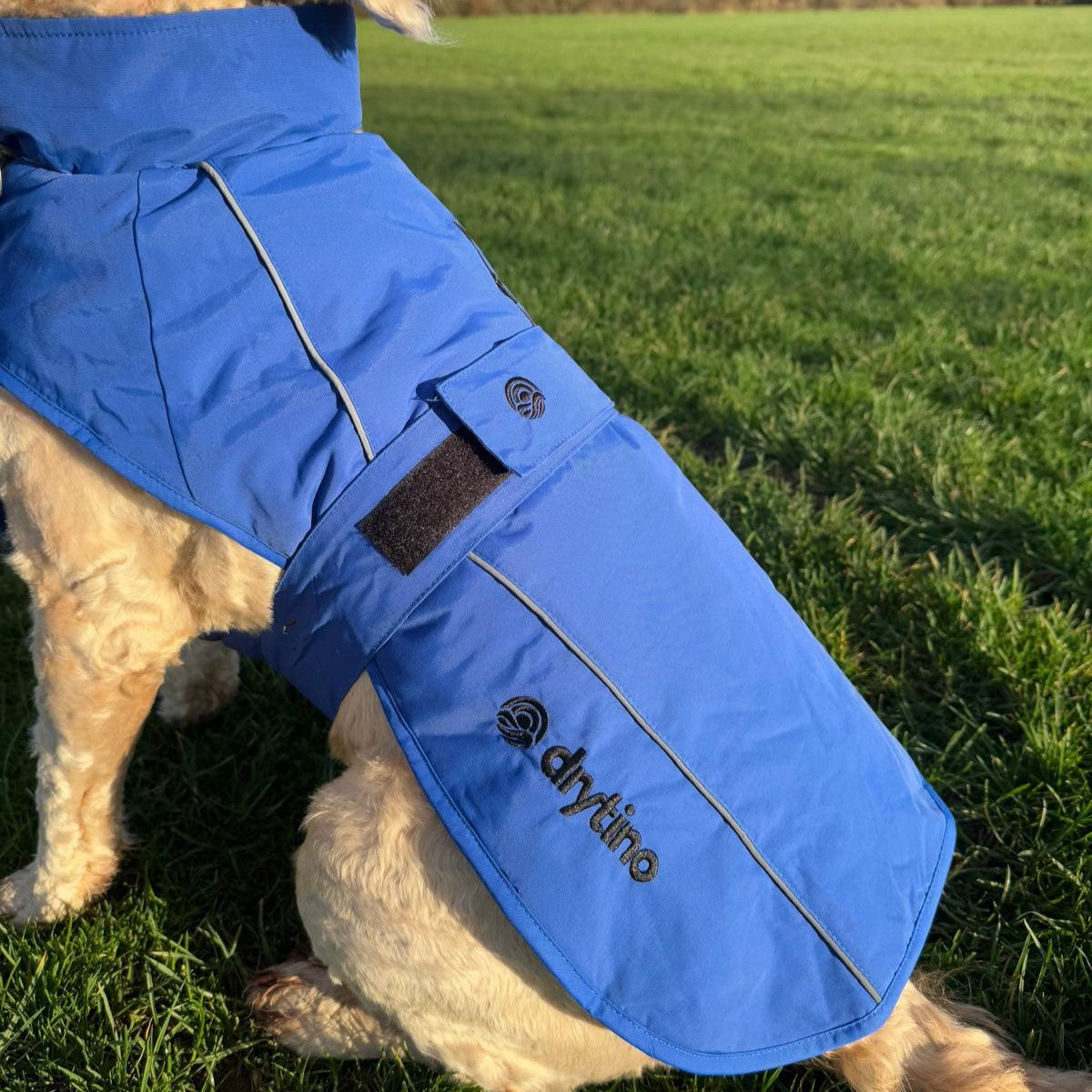 drytino Blue Dog Robe