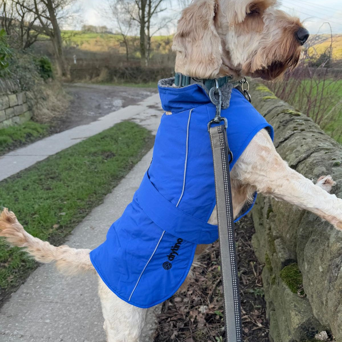 drytino Blue Dog Robe