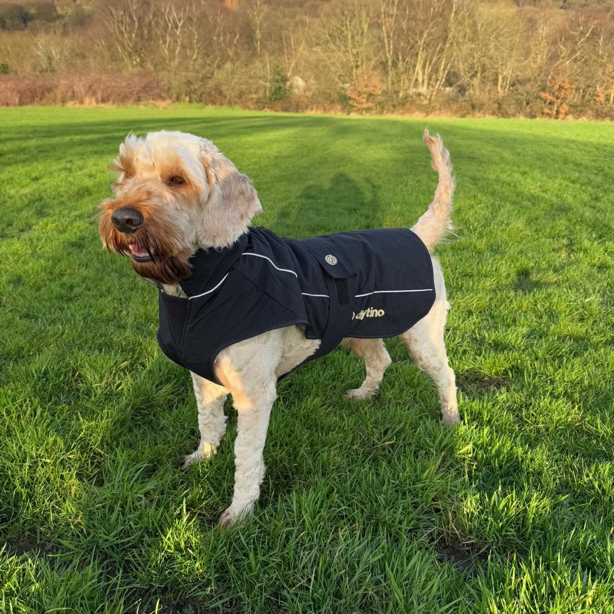 drytino Black Shell Dog Robe