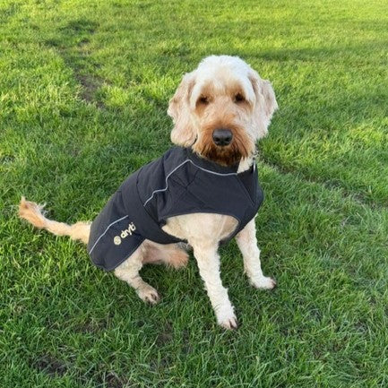 drytino Black Shell Dog Robe