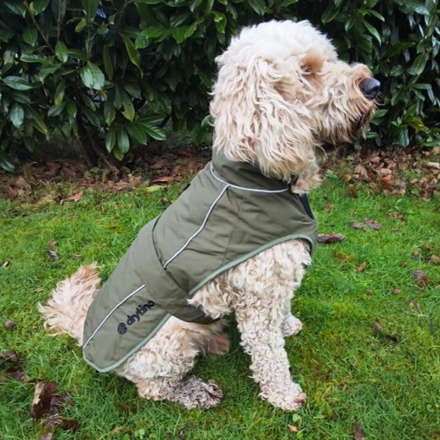 drytino Green Shell Dog Robe