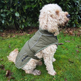 drytino Green Shell Dog Robe