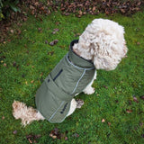 drytino Green Shell Dog Robe